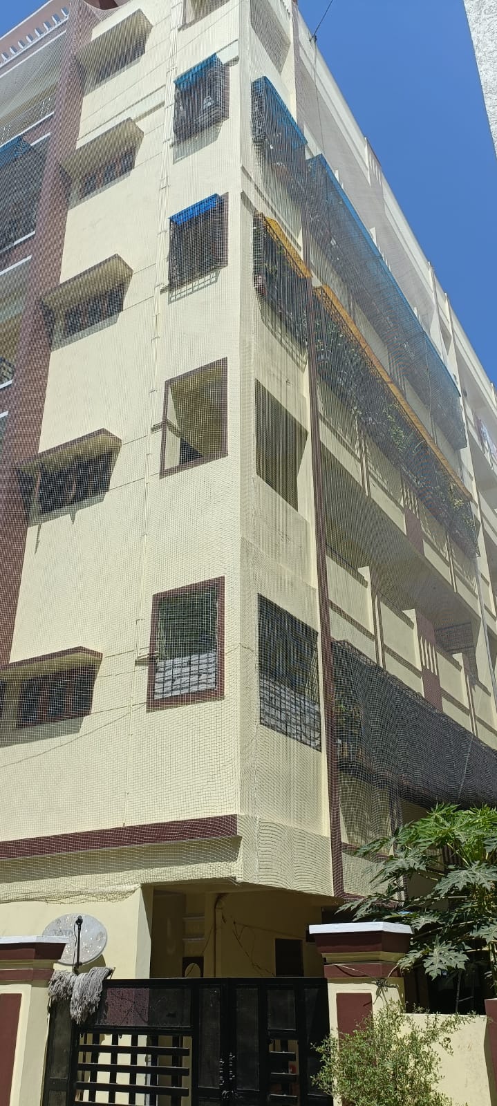 Safety Nets in Hyderabad